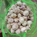 /msite/products/detail/productid/57631170/id/677584.html